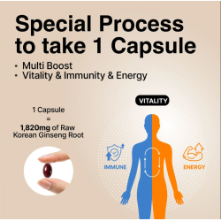 Korean Red Ginseng Capsule Plus - Cheong Kwan Jang